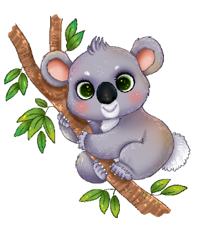 a baby koala